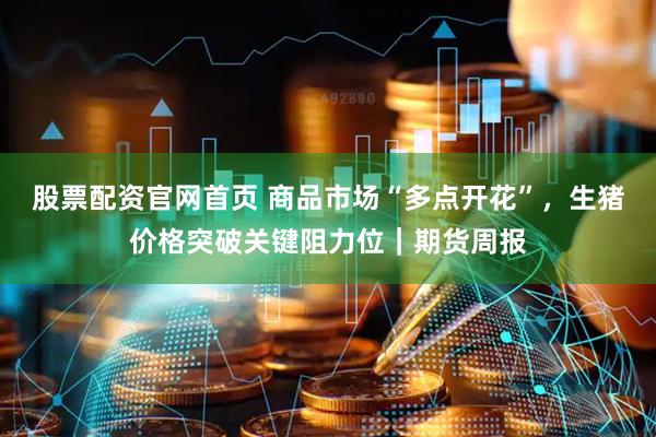 股票配资官网首页 商品市场“多点开花”，生猪价格突破关键阻力位｜期货周报
